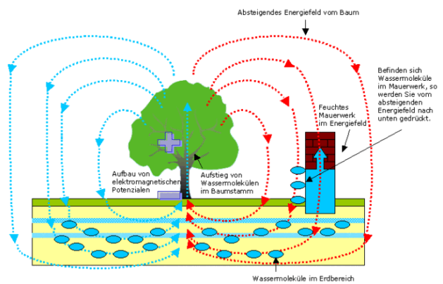 Baum Mauer1